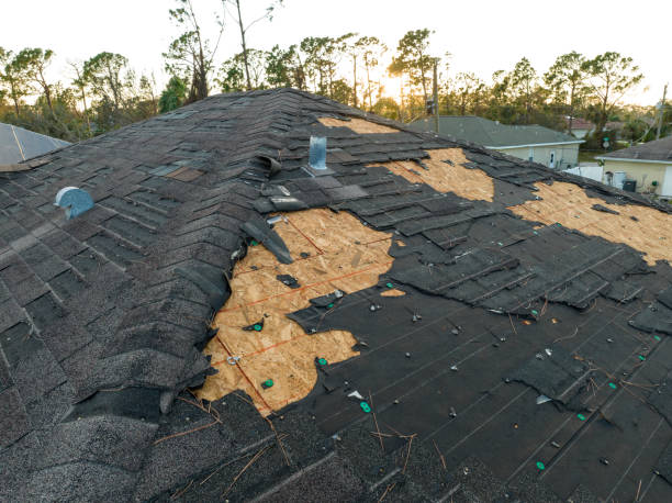 Best Green or Eco-Friendly Roofing Solutions  in Socastee, SC